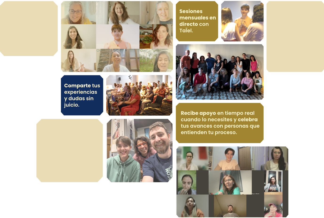 testimonios-la-academia